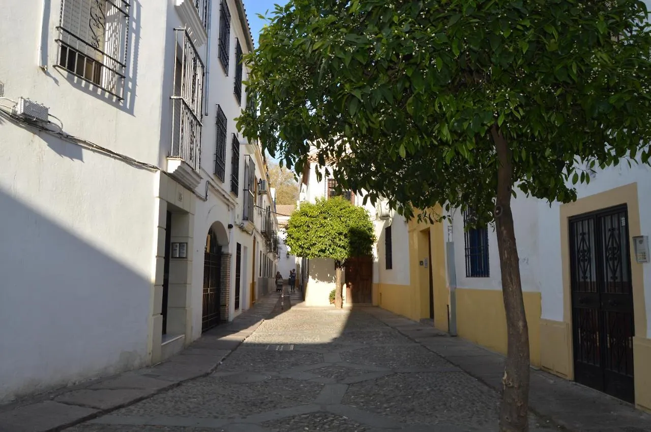 Alcazar Viejo Suite Tourist Córdoba